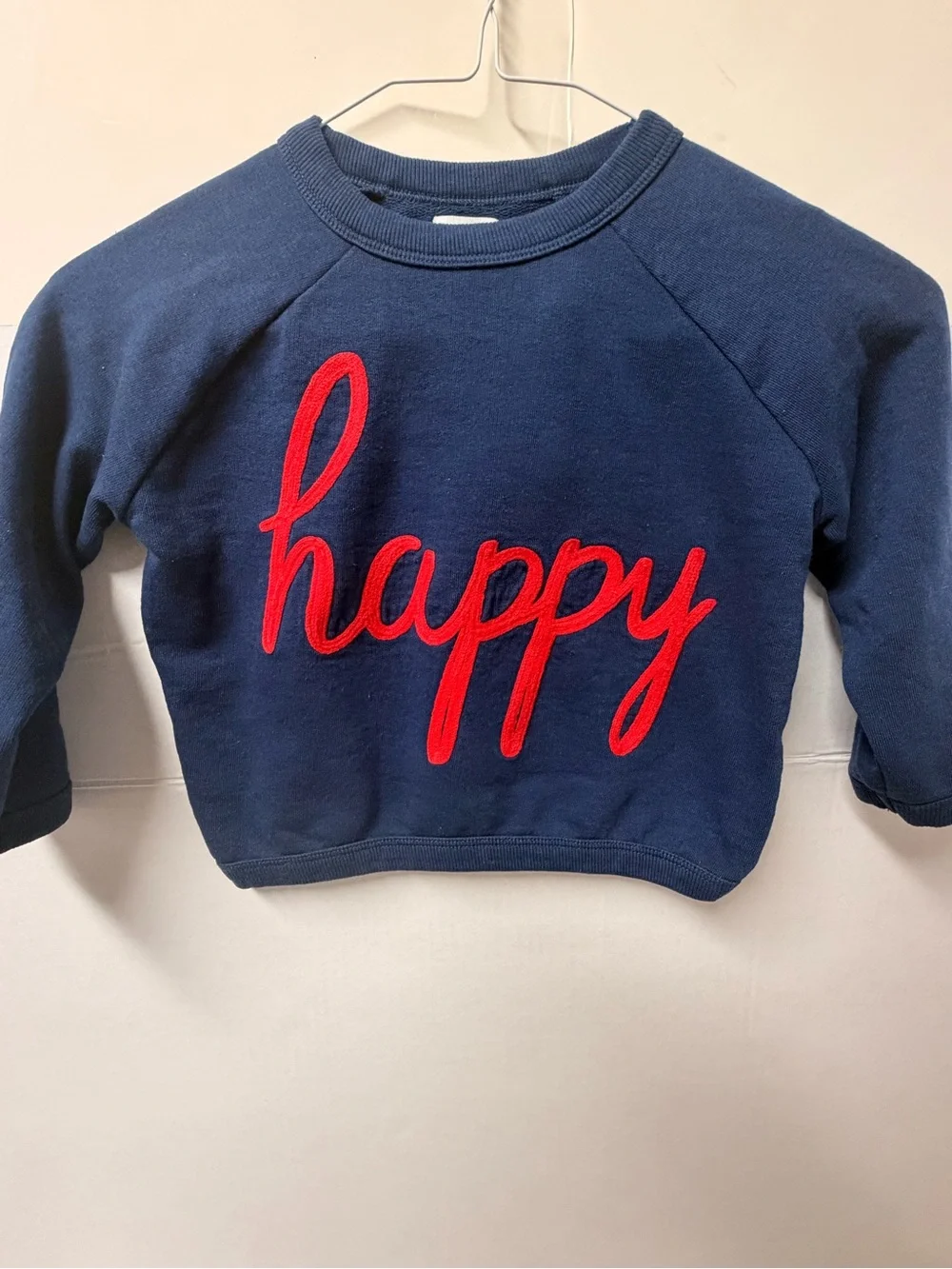 Gymboree Navy Sweatshirt with Red